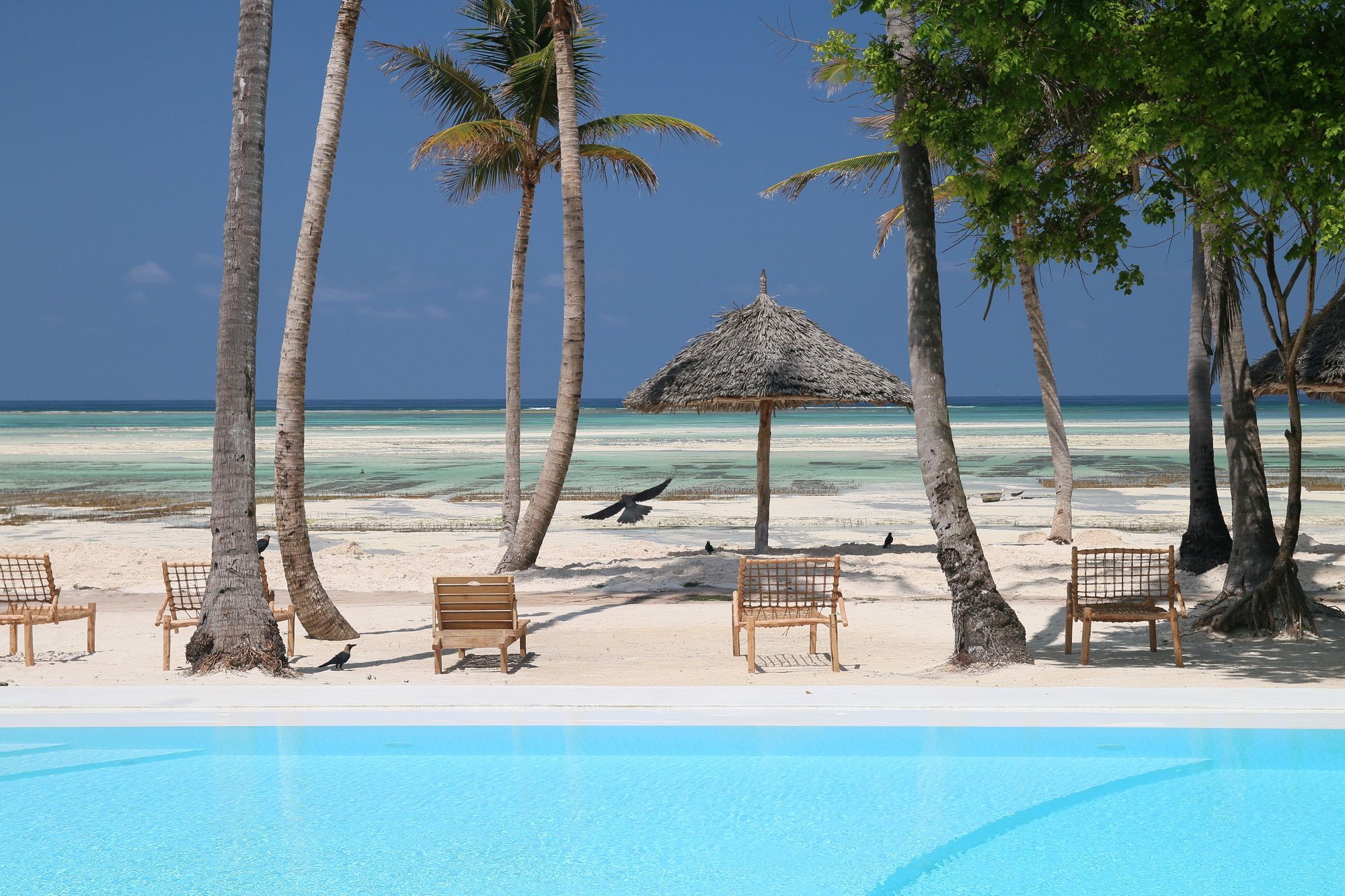 Blue Moon Resort Джамбиани Экстерьер фото